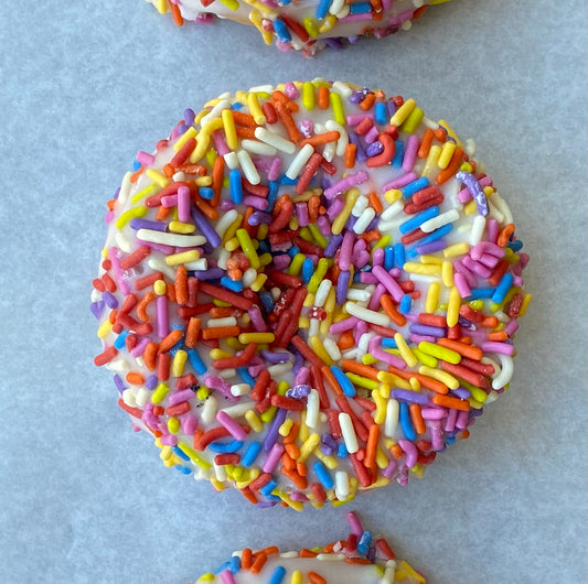 RAINBOW SPRINKLE DONUT